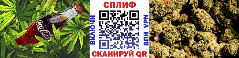 Cannafood конопля  Болхов 