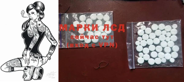 винт Алзамай