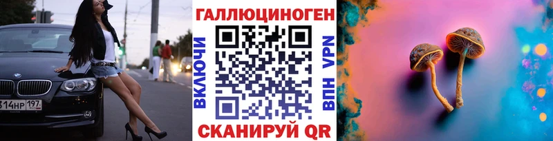 Псилоцибиновые грибы GOLDEN TEACHER где найти blacksprut ONION Болхов